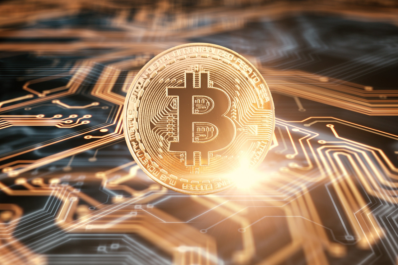 单个项目最高奖补5000万!广东“真金白银”支持AI和机器人产业发展